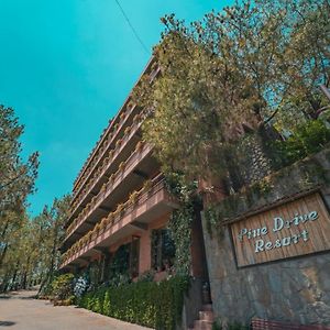 Pine Drive Resort